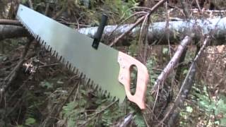 CrossCut Saw Review [upl. by Modestine]