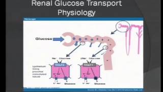 Endocrinology Pearls Dr Rami Almokayyad 43014 [upl. by Godwin541]