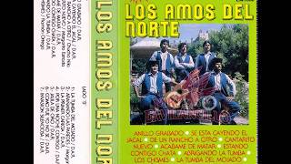 Los Amos Del Norte  15 Exitos Norteños Album Completo [upl. by Attennek]