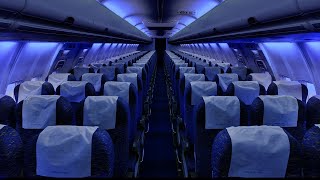 Airplane Cabin White Noise Jet Sounds  Great for Sleeping Studying Reading amp Homework  10 Hours [upl. by Ragen]