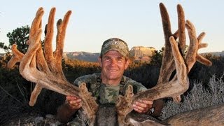 300 inch GIANT Mule Deer from AZ Strip [upl. by Tita430]