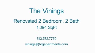 The Vinings  Renovated 2 Bedroom 2 Bath  1094 SqFt [upl. by Jorry137]