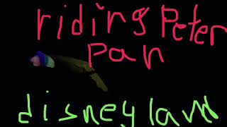 going​ to​ japan​ part​ 4​ at​ disneyland​ riding​ Peter​ pan sorry​ if​ its​ not​ clear​ [upl. by Christa]