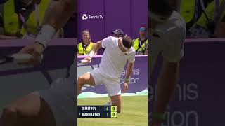 Dimitrov Winner From The Floor 🤯 [upl. by Saum]