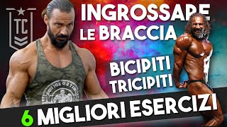 COME allenare BICIPITI e TRICIPITI  I 6 MIGLIORI esercizi per le braccia ▶️ [upl. by Ahsinor]