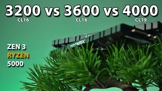 3200 vs 3600 vs 4000MHz RAM Ryzen 5 5600X Zen 3 Ryzen 5000 [upl. by Lurleen]