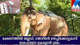 Attempt to kill elephant thechikottukavu ramachandran  Manorama News [upl. by Oric]