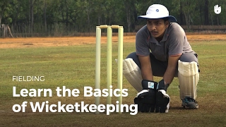 Learn the Basics of Wicketkeeping  Cricket [upl. by Irod]