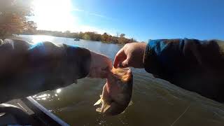 Late October Fox River Bass Fishing [upl. by Snilloc]