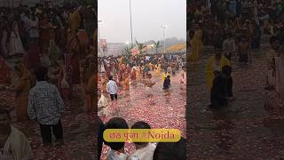 छठ पूजा in Noida  Chhat Puja Status  PKS Vlogs shorts viralvideo chhathpuja [upl. by Barbara-Anne]