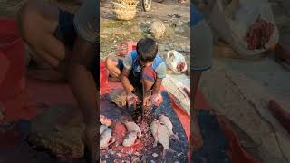 Amazing Big Poti Fish Super First Cutting fish fishcutting fishcuttingskills youtubeshorts [upl. by Nevar]