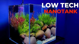 How to make small aquarium for beta fish at home step by step guide [upl. by Euton766]