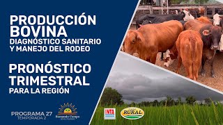 Diagnóstico sanitario y manejo en bovinos  Pronóstico trimestral [upl. by Ahsilra]