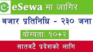 eSewa Job Vacancy 2081  esewa New vacancy 2024  ESewa job Vacancy all Over Nepal esewa vacancy [upl. by Jody]