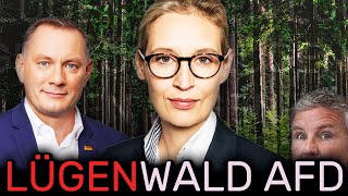 Die Neuesten Lügen Von AfD amp Alice Weidel  Reaction Auf schizoswoche [upl. by Bunker341]