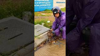 Storm Drain Unclogging Clearing Flooded Streets Fast shorts video viralvideo [upl. by Trescha]