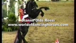 Dancing Horse Show Volvo World Cup Del Mar CA [upl. by Nailil]