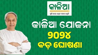 Kalia Yojana New Update 1st January  Kalia Yojana eKYC 2024  Odisha TV [upl. by Glavin]