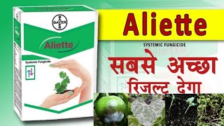 Bayer Aliette FungicideFosetyl ALTrue Systemic Fungicide [upl. by Asined]