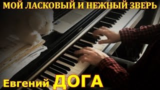 Мой ласковый и нежный зверь  Евгений Дога [upl. by Sonni396]