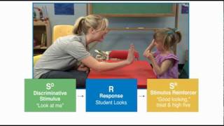 Discrete Trial Teaching  Autism Therapy Video [upl. by Aneehsat]