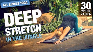 30 Minute Deep Stretch Jungle Yoga Class  Five Parks Yoga [upl. by Oicul176]