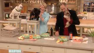 Healthy Pet Food ⎢Dr Marty Goldstein ⎢Martha Stewart [upl. by Neely]