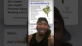 Benefits Of Bladderwrack 😏🌿✨ [upl. by Dat]