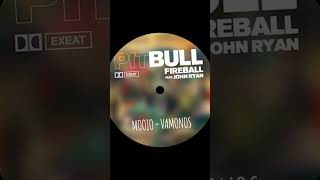 Pitbull Gabsy Moojo  Fireball x Vamonos EXEAT MASHUP is out now  🚨 afrohouse mashup [upl. by Trauts782]