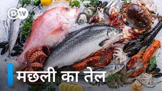 मछली का तेल ऐसे बनाते हैं Oil from fish [upl. by Dlorad]