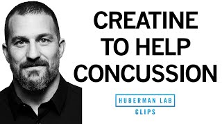 How Creatine Can Help with Concussion amp Traumatic Brain Injury  Dr Andrew Huberman [upl. by Erbes]