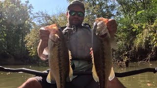 2 Bass caught on 1 cast from Kayak [upl. by Nevil824]