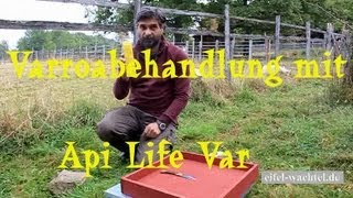 Varroabehandlung mit Api Life Var [upl. by Gilberto]