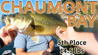 Chaumont Bay 2023 bassfishing bass basstournament [upl. by Ntsud828]