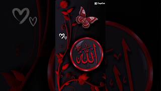 Islamic video islamicshorts shortsfeed lightofquran [upl. by Mahda]