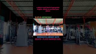 WORKOUTS LIBRARY 272 BICEPS  PLATE HAMMER CURL [upl. by Elocon]