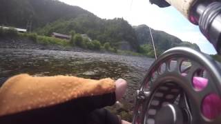 Salmon fishing on the Gaula River 2016  The take [upl. by Antipas]