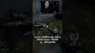 STALKER 2 братишкин братишкин реки сталкер [upl. by Eiramlatsyrk181]