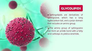 LIPIDS Structure Properties amp applications [upl. by Naliorf395]