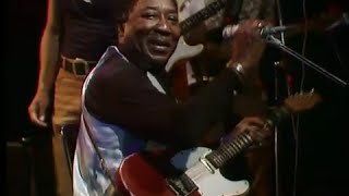 Muddy Waters  Evans Shuffle [upl. by Nnalorac887]