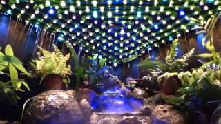 Waterfall Paludarium  LEDs amp Rain Tests [upl. by Fronniah]