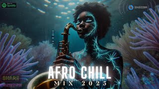 🌊 Afro Chill Mix 2025  Chill Afrobeats to Study Work Sleep [upl. by Zelten68]