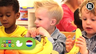 FRUITLIED  Kinderliedjes  Kinderdagverblijf  Minidisco [upl. by Kacy816]