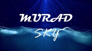 MuraD  Sky No Copyright Music [upl. by Nomzaj]