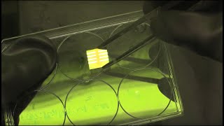 Constructing a perovskite solar cell [upl. by Flatto589]