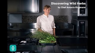 Discovering Wild Herbs 6 Creative Recipes by Chef Antonia Klugmann [upl. by Irelav]