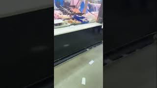 Prawns at the Dandenong market seafood shorts viral pleasesubscribemychannel [upl. by Windsor]