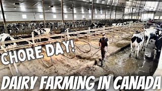 Yet Another Day In The Life Of A Dairy Farmer [upl. by Lull]