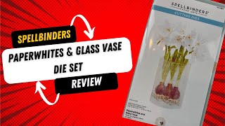 Spellbinders Paperwhites amp Glass Vase Die set Review [upl. by Oidacra]