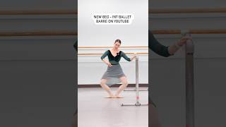 New Ballet Barre ballet barre beg int trending [upl. by Solon]